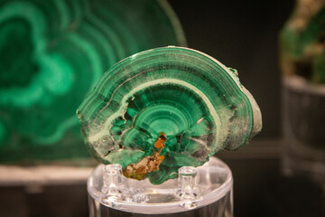 Abstract green background with circles and waves. Malachite stone wallpaper. Polished gemstone texture