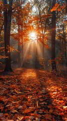 panoramic autumn scenery in a park, the sun casts beautiful rays