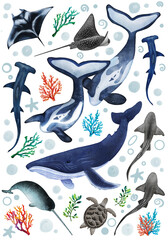 Underwater creatures on an isolated background. Watercolor illustration of the undersea world. Sea animals are hand drawn. Ocean fauna clipart