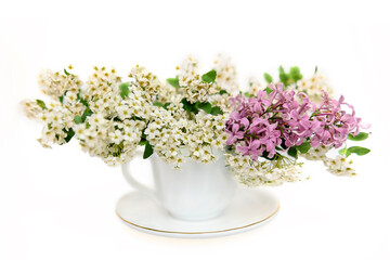 A bouquet of white spirea and a branch of lilac in a white cup on a white background. Layout for design.