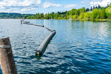 Pontoon Coulon Park 2