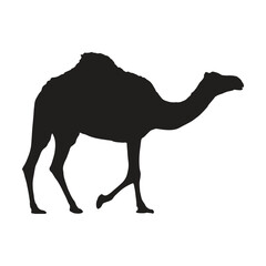 camel with silhouette vector illustration