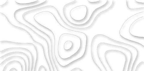 Abstract topographic contours map background, White wave paper curved reliefs abstract background. Topographic line contour map background, geographic grid map.