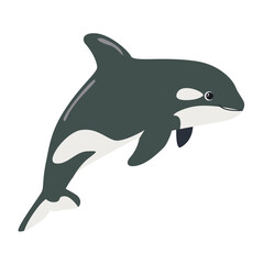 Obraz premium killer whale hand drawing illustration on white background