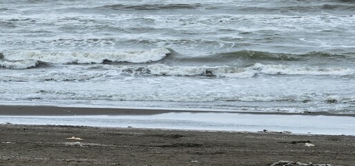 Naklejka premium Bird standing in shallow beach waters
