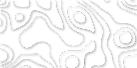 Papercut shape abstract white background, Geographic mountain contours vector abstract background, Vector abstract white paper cut banner, topographic contours map background.