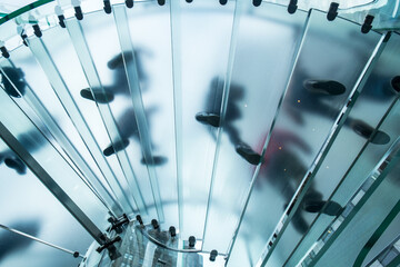 People walking up transparent stairway, New York, USA