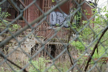 Image of graffiti on an abandoned building, seen through a chain-link fence