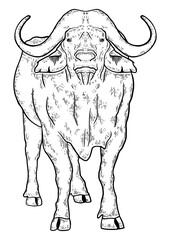 Buffalo animal sketch PNG illustration