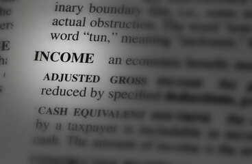 close up photo of the word income