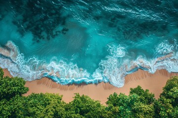 Beautiful drone image of waves gently lapping a tropical beach with lush greenery