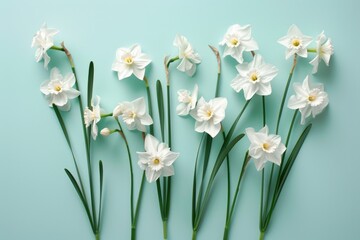 Fototapeta premium White flowers arranged on a blue background. Perfect for spring or nature themes