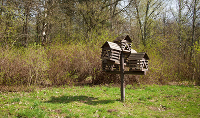 An old birdhouse in a green garden. A wooden birdhouse.