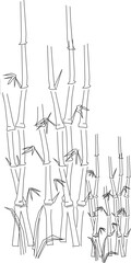 Detailed vector sketch illustration design of shrub bamboo plant tree