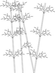 Detailed vector sketch illustration design of shrub bamboo plant tree
