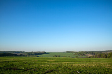 Vast grassland under a clear blue sky, creating a natural landscape