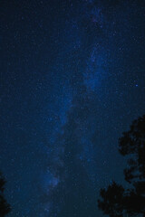 Night sky view of Milky Way galaxy with stars, from deep blue to black at the Grand Canyon. Tree...