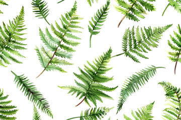 Watercolor Ferns, Delicate fern leaves, Seamless pattern illustration 
