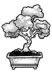 Bonsai japanese tree sketch PNG illustration. Scratch board style imitation. Hand drawn image.
