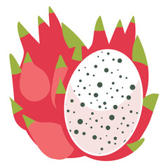 Dragon fruit vector illustration, buah naga isolated on white background, pitaya clipart, pitahaya image