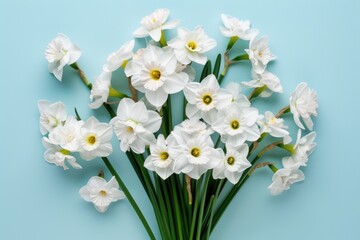 Obraz premium White flowers arranged on a blue background, perfect for spring or nature themes