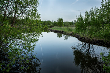 River surrounded by trees, with a fishing rod in the water