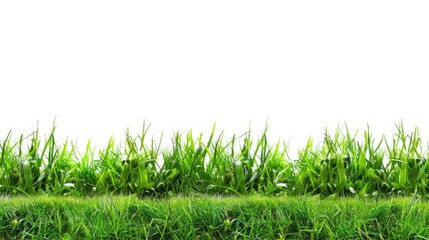 Fototapeta premium Ethereal Meadows Under an Infinite Blanket