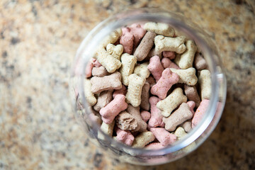 Container of dog treats on counter