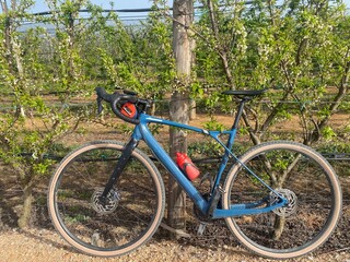 Blue gravel bicycle parked on a green rural field landscape
