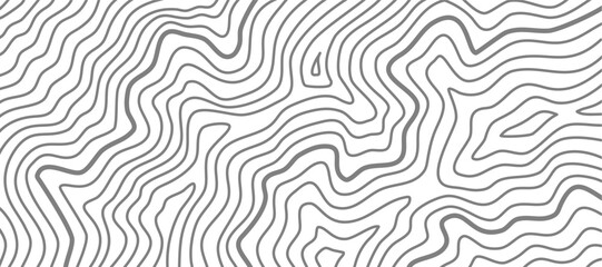 topographic contour background. abstract wavy background. contour background. Topographic map wallpaper. topographic background.