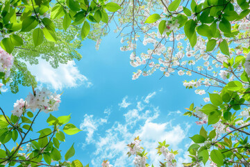 Clear spring sky. Green leaves, white and pink flowers on the trees in the foreground