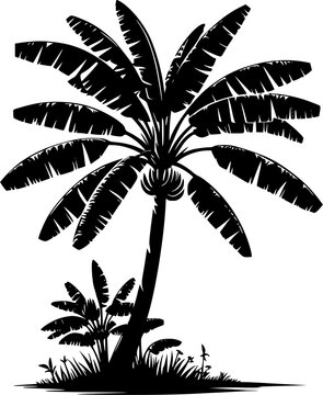 black banana tree silhouette on white clip art preview