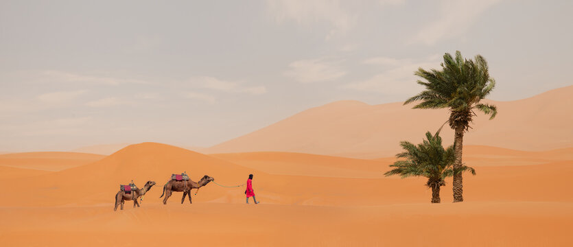 Berber with his dromedary in the sahara desert in Morocco