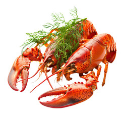 "Fresh and delicious lobster, ready to be cooked and enjoyed."