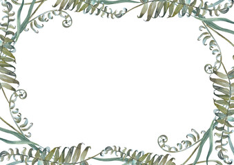 Floral frame with fern and herbs isolated on white background. Hand painted with watercolors.