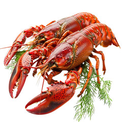 Two bright red lobsters on a bed of green parsley.