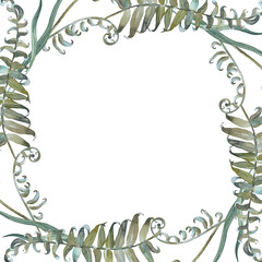 Floral frame with fern and herbs isolated on white background. Hand painted with watercolors.
