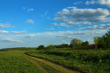 A dirt road with grass and trees