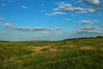 Fototapeta premium A grassy field with blue sky and clouds