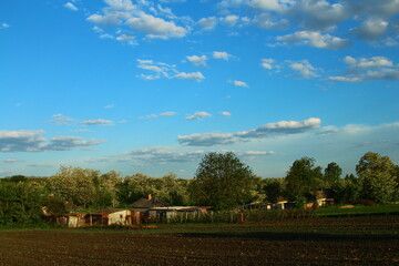 Obraz premium A field with houses and trees