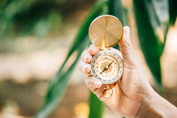 Embrace nature guidance with a hand holding a compass amidst a green forest backdrop. This image offers room for text and embodies the concepts of planning managing and achieving success in business.