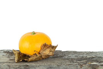 A small orange pumpkin fruit sits on a leaf. The fruit is surrounded by a leaf that is slightly...