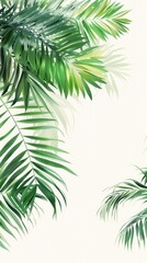 Fototapeta premium Soft and delicate palm leaves again white background