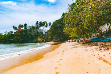 Panoramic view of a wild tropical beach in Sri Lanka. Tropical beach with palms and fishing boats.