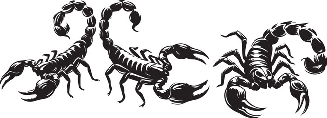 SCORPIONS silhouette vector EPS SET 