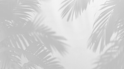 Light and shadow from tropical leaves, overlay effect of shadows isolated on transparent background