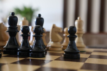 chess pieces on the board