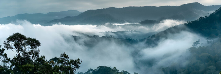 Early morning fog rolling over a subtropical mountain range, with peaks emerging above the dense, misty cover - Powered by Adobe