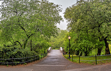 Gapstow Bridge in Central Park, late spring