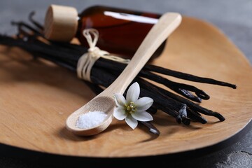 Spoon with sugar, flower, vanilla pods and bottle of essential oil on grey table, closeup